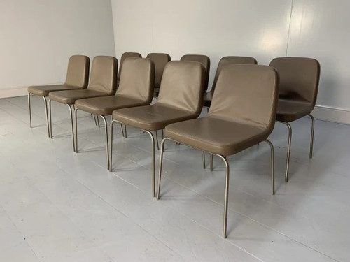 Sedie pranzo minotti - da, "arp