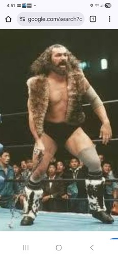 Wrestling superstars bruiser - superstars,
