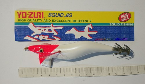 Zuri oita egi painted squid - painted,