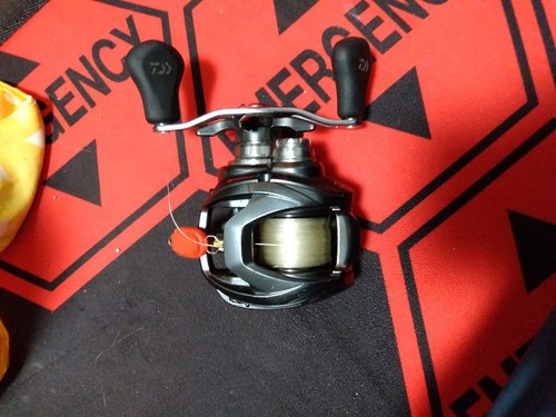 Mulinello daiwa steez - daiwa,