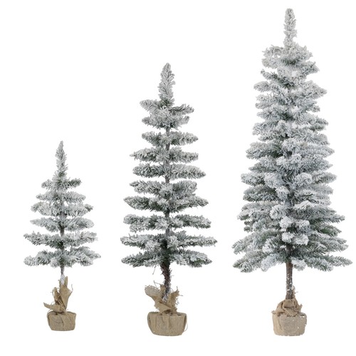 Pinetto natale tallinn - natale,