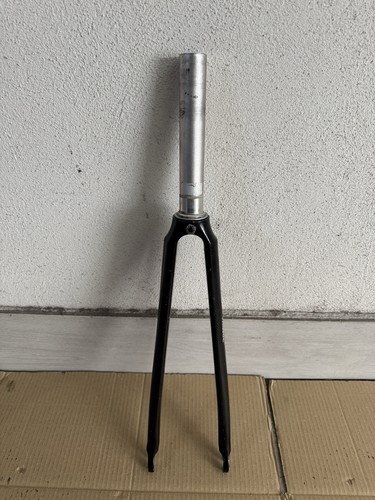 Fondriest domina mizuno - fondriest,