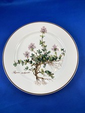 Piatto torta villeroy - piatto, &