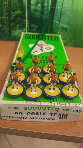 Subbuteo hybrid minnesota - subbuteo,