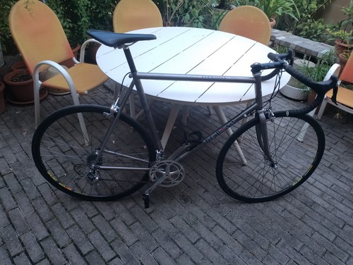 Rosa titanio campagnolo - de,