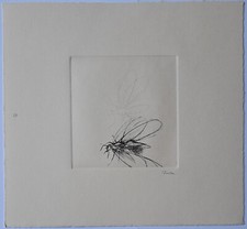 Guido Strazza (Santa Fiora 1922) - Insetti, 1980 - Incisione n° 10