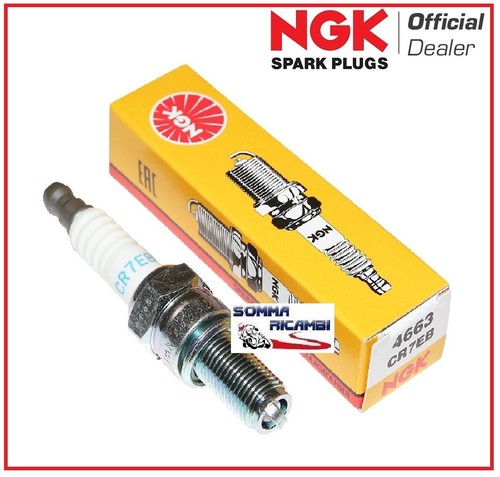 Candela originale ngk cr7eb - candela,