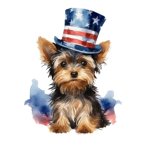 Adesivi auto yorkshire terrier - adesivi,
