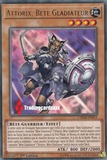 ♦Yu-Gi-Oh!♦ Attorix, Bete