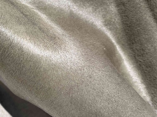 Pelle cavallino verde - , bosco