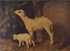 Antica stampa colori anni - , 30