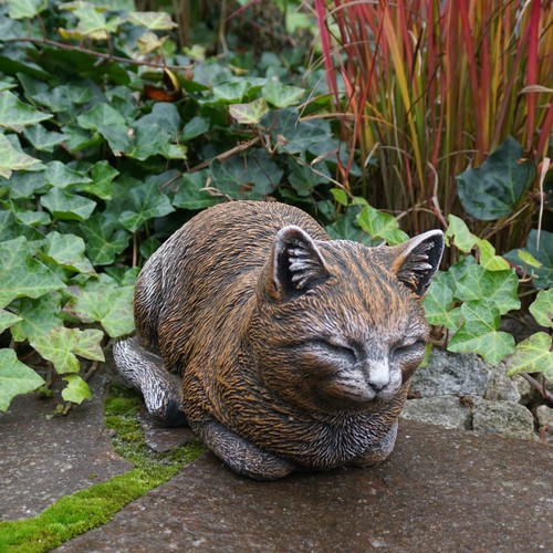 Gatto gattino statua - in, pietra