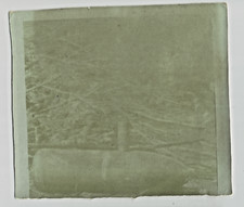 WW1 Foto Prima Guerra Mondiale