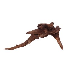 L Driftwood radice di fiume