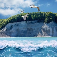 Rügen Mar Baltico 3-6 giorni