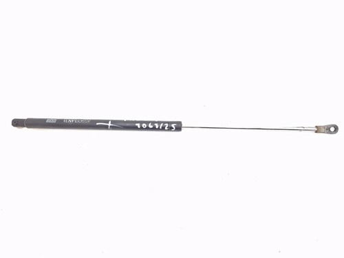 7550172 pistoncini portellone - pistoncini,