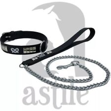 COLLARE CANE BORCHIATO IN PELLE OTTONE CON GUINZAGLIO SET STAFFORDSHIRE BULL TERRIER STAFFY