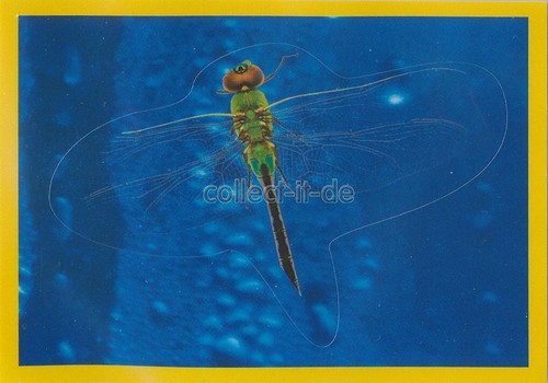 Panini national geographic - national,