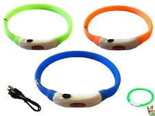 Collare LED Luminoso Cane e