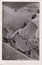 1256 Ortler vom