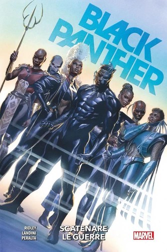 Pantera nera black panther - pantera,