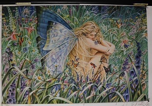 Fairy girl sheila - sheila, wolk