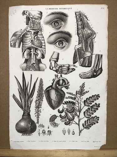 Illustrazione antica 1834