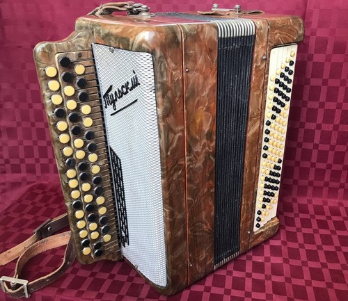 Fisarmonica vintage urss - fisarmonica,
