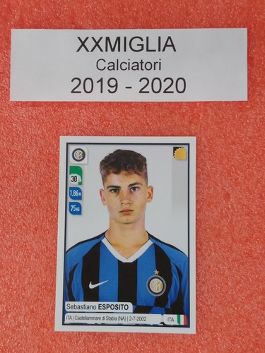 Figurine calciatori panini - calciatori,