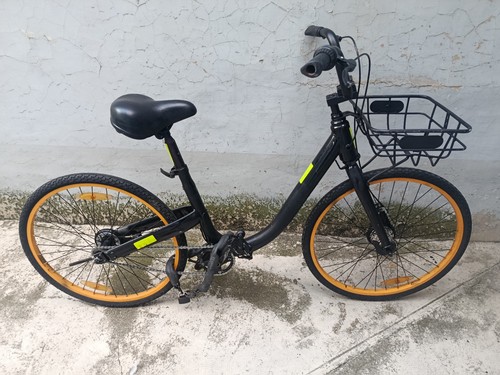 Bicicletta donna con cestino