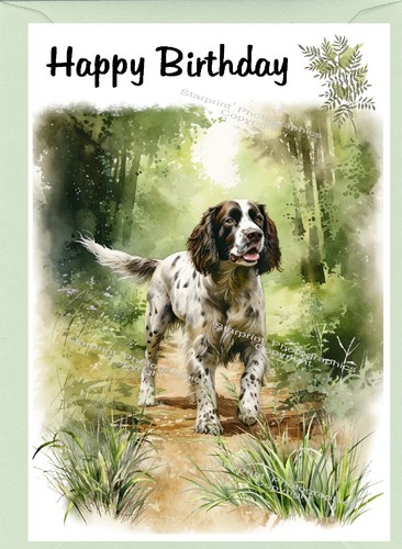 Biglietto compleanno springer - biglietto,