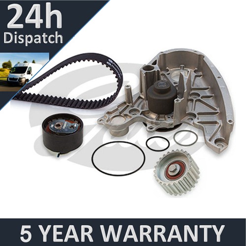 Kit cinghia distribuzione - cinghia,