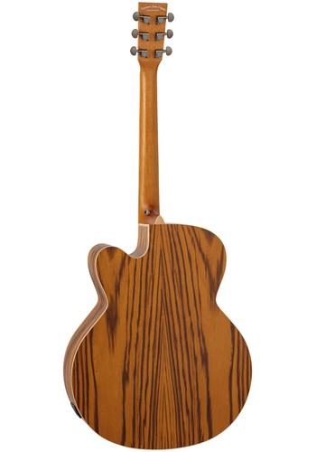 Chitarra acustica elettrica - acustica,
