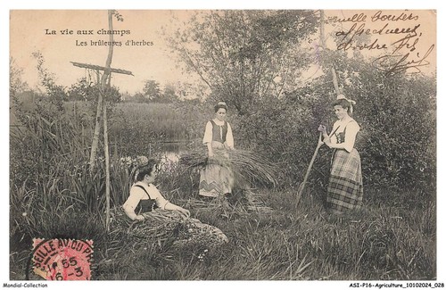 Asip16 1038 agricoltura la - -,