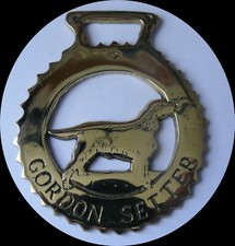 GORDON SETTER Cavallo in