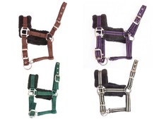 Cavalletto puledro con peluche