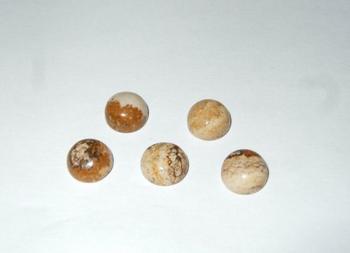 Cabochon pietra - cabochon,
