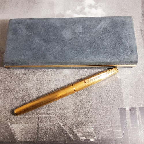 Penna stilografica waterman - penna,