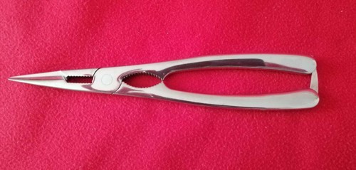 Pinza aragosta crostacei rompi - pinza,