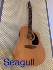 Chitarra elettrica acustica
