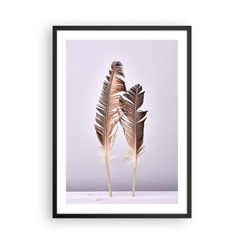 Poster 50x70cm due piume - poster,