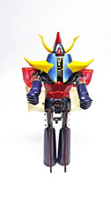RAYDEEN DX GA-09 Vintage