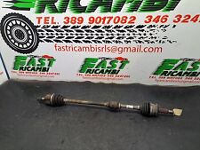 SEMIASSE SEMIALBERO ANTERIORE