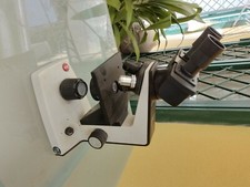 Microscopio Leitz HM-Lux 03