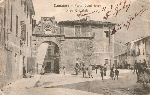 D890 cartolina camaiore porta - cartolina,