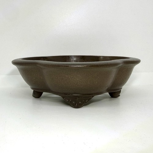 Vaso bonsai premium yixing - vaso,