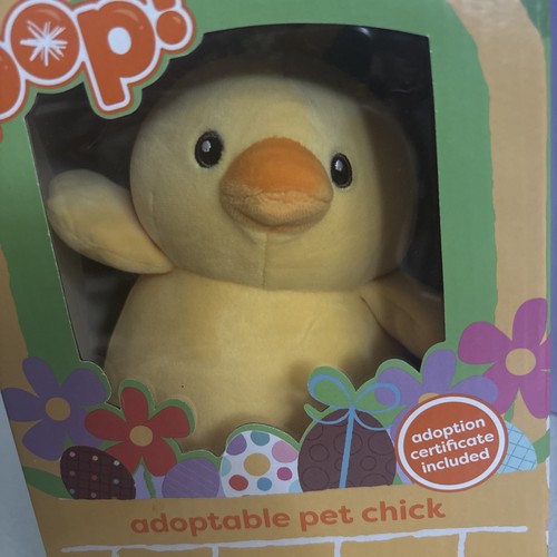 Pop pasquale nuovo - nuovo!, pulcino