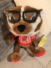Peluche Wisconsin Badgers