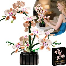886pz Orchidea Fiore