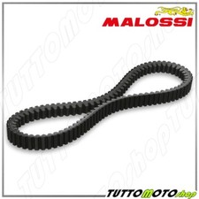 6113027 Cinghia MALOSSI X K